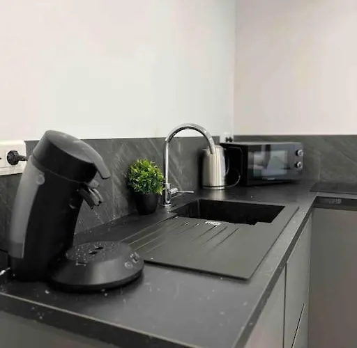 Appartement Elegant Proche Rer/ Cdg / Parc Des Expos