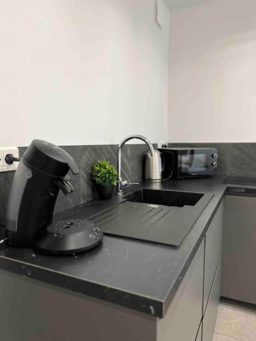 Elegant Proche Rer/ Cdg / Parc Des Expos Appartement *